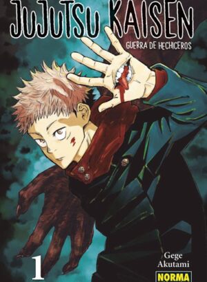 JUJUTSU KAISEN 01