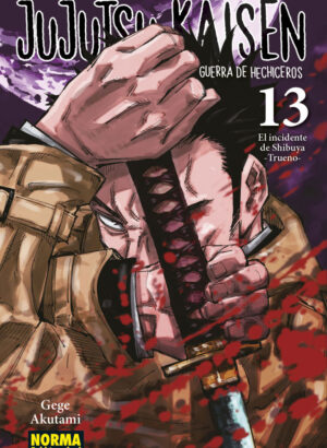 JUJUTSU KAISEN 13