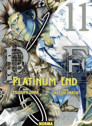 PLATINUM END 11
