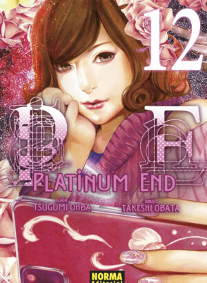 PLATINUM END 12