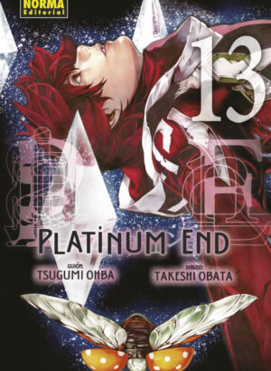 PLATINUM END 13