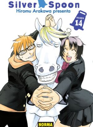 SILVER SPOON 14