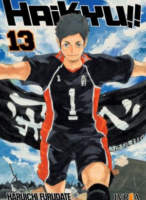 HAIKYU!! 13