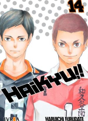 HAIKYU!! 14