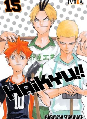 HAIKYU!! 15