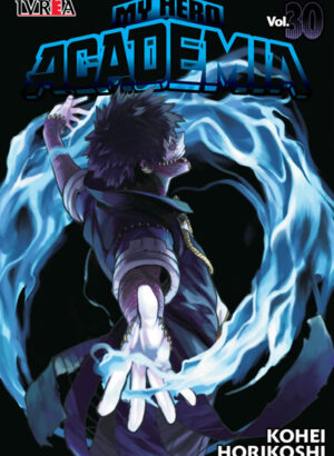 MY HERO ACADEMIA 30