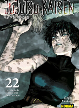 JUJUTSU KAISEN 22