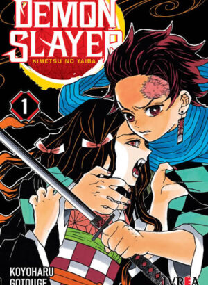 DEMON SLAYER - KIMETSU NO YAIBA 01