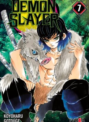 DEMON SLAYER - KIMETSU NO YAIBA 07