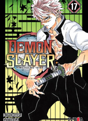 DEMON SLAYER - KIMETSU NO YAIBA 17