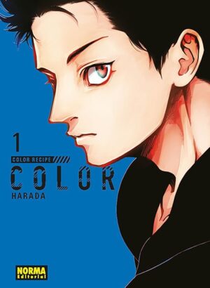 COLOR RECIPE 01
