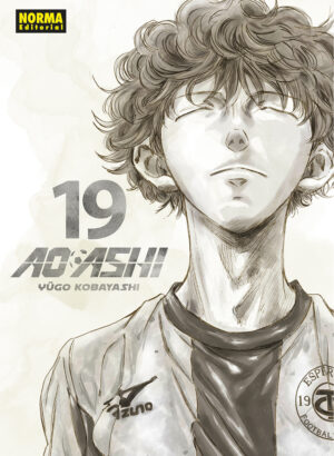 AO ASHI 19