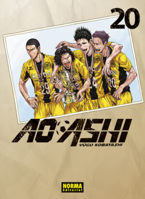 AO ASHI 20