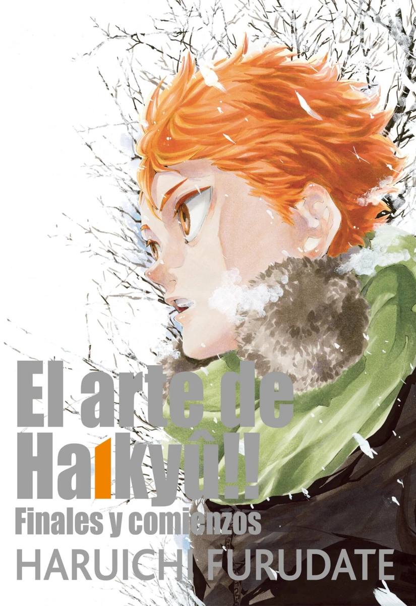 El arte de Haikyu!!