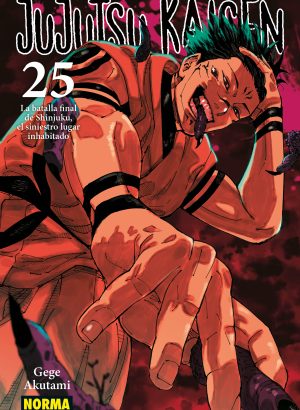 Jujutsu Kaisen 25