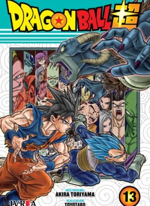 Dragon Ball Super 13