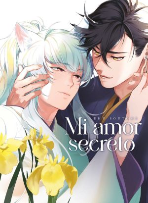 Mi Amor Secreto