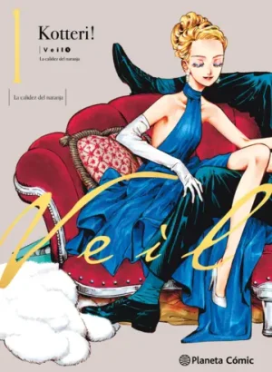 Veil nº 01