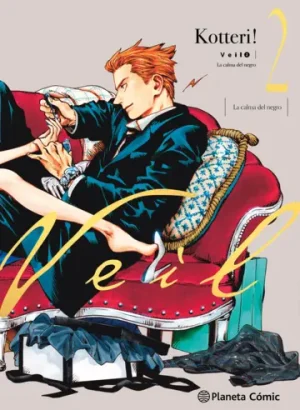 Veil nº 02