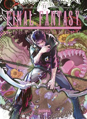 Final Fantasy Lost Stranger 11