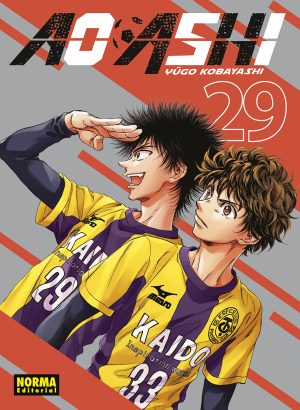 Ao Ashi 29