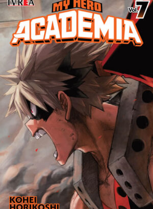 MY HERO ACADEMIA 07