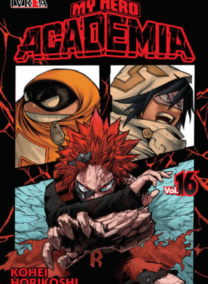 MY HERO ACADEMIA 16