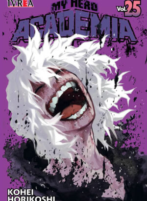 MY HERO ACADEMIA 25