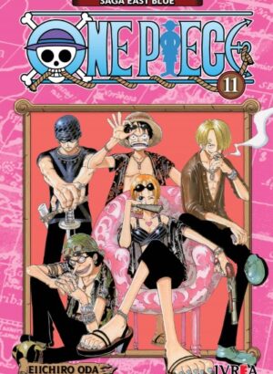ONE PIECE 11
