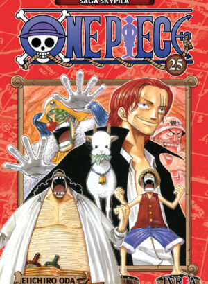 ONE PIECE 25
