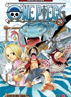 ONE PIECE 29