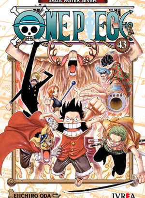 ONE PIECE 43