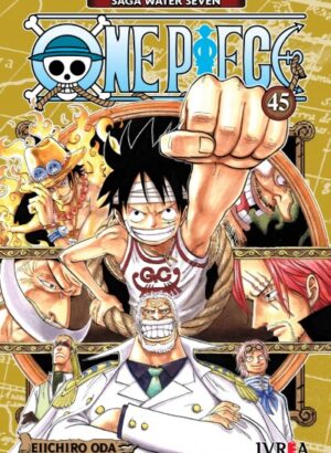 ONE PIECE 45