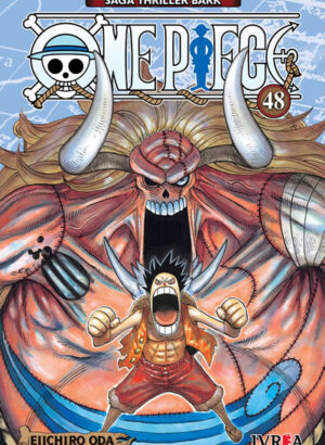 ONE PIECE 48