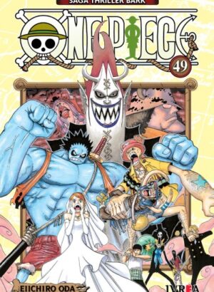 ONE PIECE 49