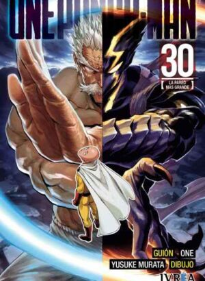 ONE PUNCH-MAN 30