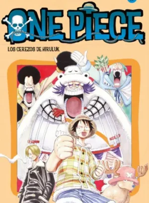 One Piece N° 017
