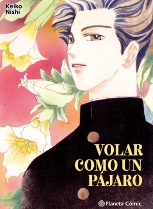 VOLAR COMO UN PÁJARO