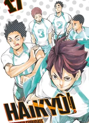 Haikyu!! 17