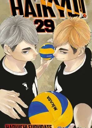 Haikyu!! 29