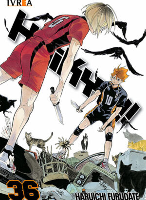 HAIKYU!! 36