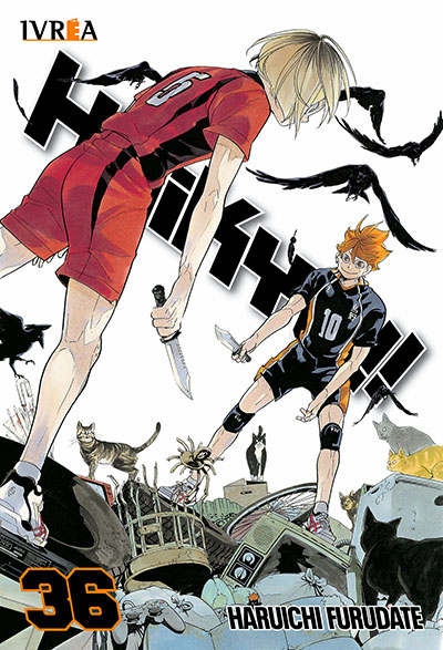 HAIKYU!! 36