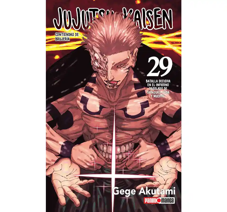 JUJUTSU KAISEN 29