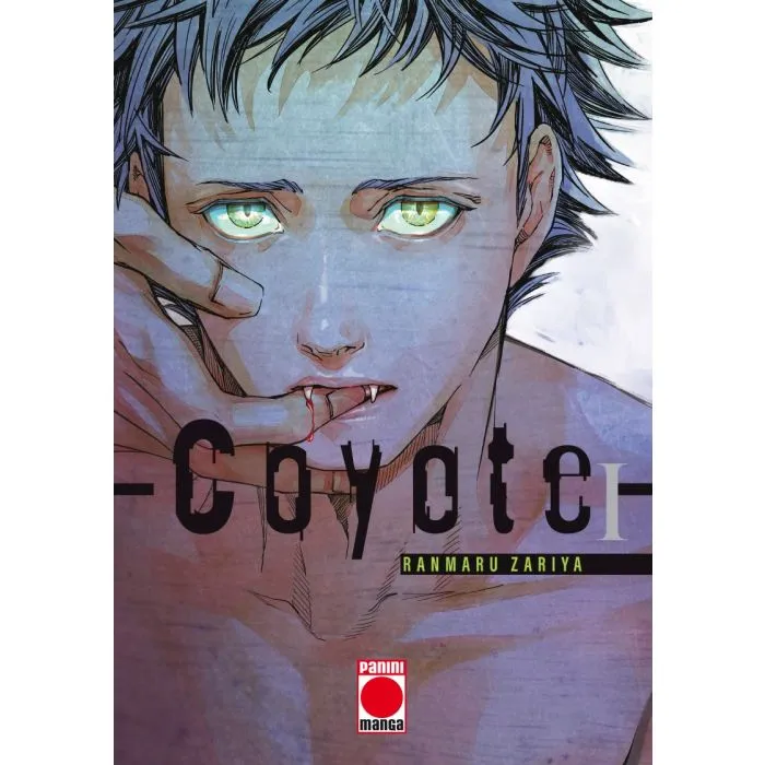 Coyote 01