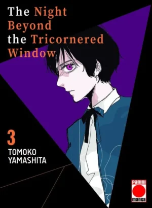 The Night Beyond The Tricornered Window 03