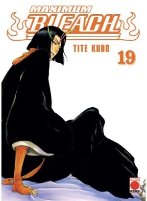 Bleach Maximum 19