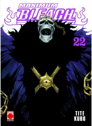 Bleach Maximum 22