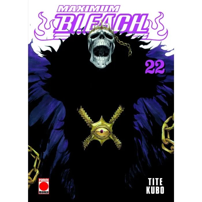 Bleach Maximum 22
