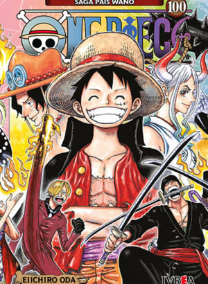 ONE PIECE 100