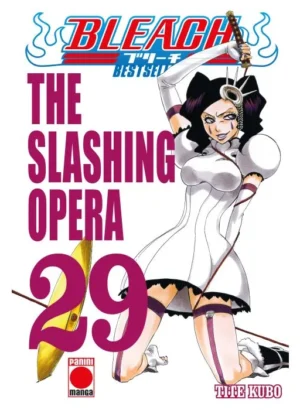 Bleach Bestseller 29